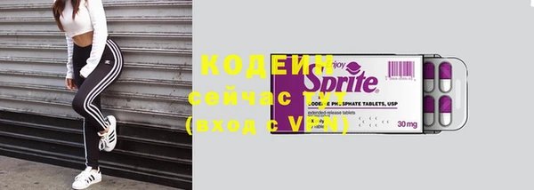 хмурый Богородицк