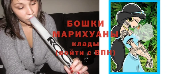 хмурый Богородицк